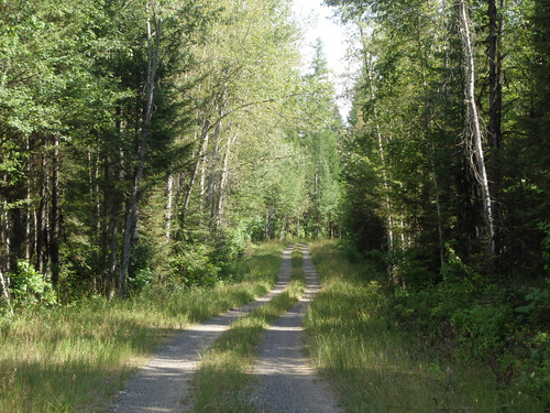 GDMBR: Double track on NF-9991 (abeam Condon, MT).